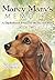 Marcy Mary's Memoirs: A Dac...
