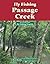 Fly Fishing Passage Creek: ...