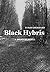 Black Hybris