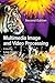 Multimedia Image and Video Processing, Second Edition
