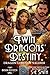 Twin Dragon’s Destiny (Drag...