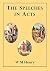 The Speeches in Acts by W.M. Henry