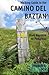Walking Guide to the Camino...
