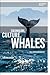 Colonialism, Culture, Whales: The Cetacean Quartet (Environmental Cultures)