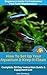 Beginners Guide To Freshwater Fish Tank Maintenance by Jack Dempsey