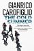 The Cold Summer by Gianrico Carofiglio