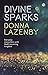 Divine Sparks: Everyday Encounters With God’s Incoming Kingdom