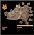 Cotehele: National Trust Gu...