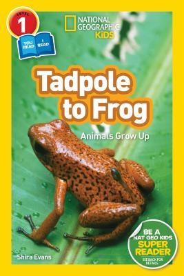 Tadpole to Frog (National Geographic Readers: L1/Co-Reader)