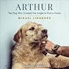 Arthur by Mikael Lindnord