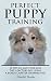 Perfect Puppy Training : 10...