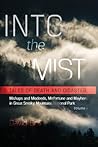 Into the Mist