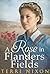 A Rose in Flanders Fields