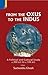 From the Oxus to the Indus: A Political and Cultural Study C. 300bce - C. 100 Bce