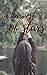A Harvest of Stars (A Harve...