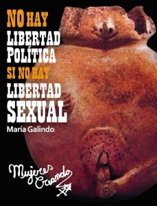 No hay libertad política, si no hay libertad sexual (Paperback)