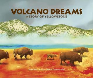 Volcano Dreams: A Story of Yellowstone (Hardcover)