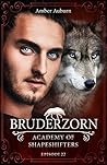 Bruderzorn, Episode 22 - Fantasy-Serie (Academy of Shapeshift... by Amber Auburn