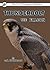 Thunderbolt the Falcon by C.k. Thompson