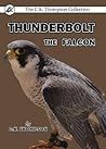 Thunderbolt the Falcon