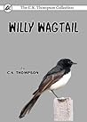Willy Wagtail