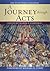 A Journey through Acts: The 50 Day Bible Challenge (The Bible Challenge, 6)