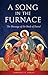 A Song in the Furnace: : The Message of the Book of Daniel