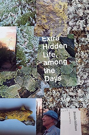 Extra Hidden Life, among the Days (Wesleyan Poetry Series)