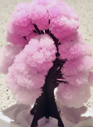 Glass Onion