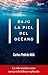 Bajo la piel del océano by Carlos Pedrós-Alió