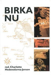 Birka nu. Pågående forskning om världsarvet Birka och Hovgården (Hardcover)
