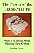 The Power of the Maha-Mantra by Stephen Knapp