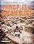 Principles of Archaeology