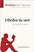 L'Ombre du vent de Carlos Ruiz Zafón (Analyse de l'oeuvre) by Le Petit Littéraire