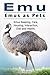 Emu. Emus as Pets. Emus Keeping, Care, Housing, Interaction, Diet and Health