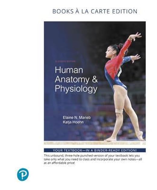 Human Anatomy & Physiology