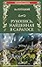 Рукопись, найденная в Сарагосе (100 великих романов) by Jan Potocki Рукопись, найденная в Сарагосе (100 великих романов) by Jan Potocki