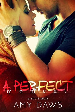 A Perfect Moment (Kindle Edition)