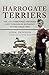 Harrogate Terriers: The 1/5th (Territorial) Battalion West Yorkshire Regiment in the Great War