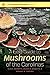 A Field Guide to Mushrooms ...