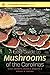 A Field Guide to Mushrooms of the Carolinas
