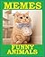 Animal Memes: Hilarious And...