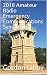 2018 Amateur Radio Emergenc...
