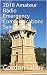 2018 Amateur Radio Emergency Communications Symposium by Gordon Gibby