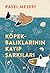 Köpekbalıklarının Kayıp Şarkıları by Raşel Meseri