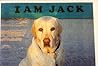I am Jack by Anna Myatt