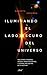 Iluminando el lado oscuro del universo: Agujeros negros, ondas gravitatorias y otras melodías de Einstein (Ariel) (Spanish Edition)