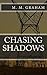 Chasing Shadows (Lighting the shadows Book 2)