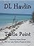 Turtle Point by DL Havlin