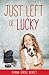 Just Left of Lucky by Dianna Dorisi Winget